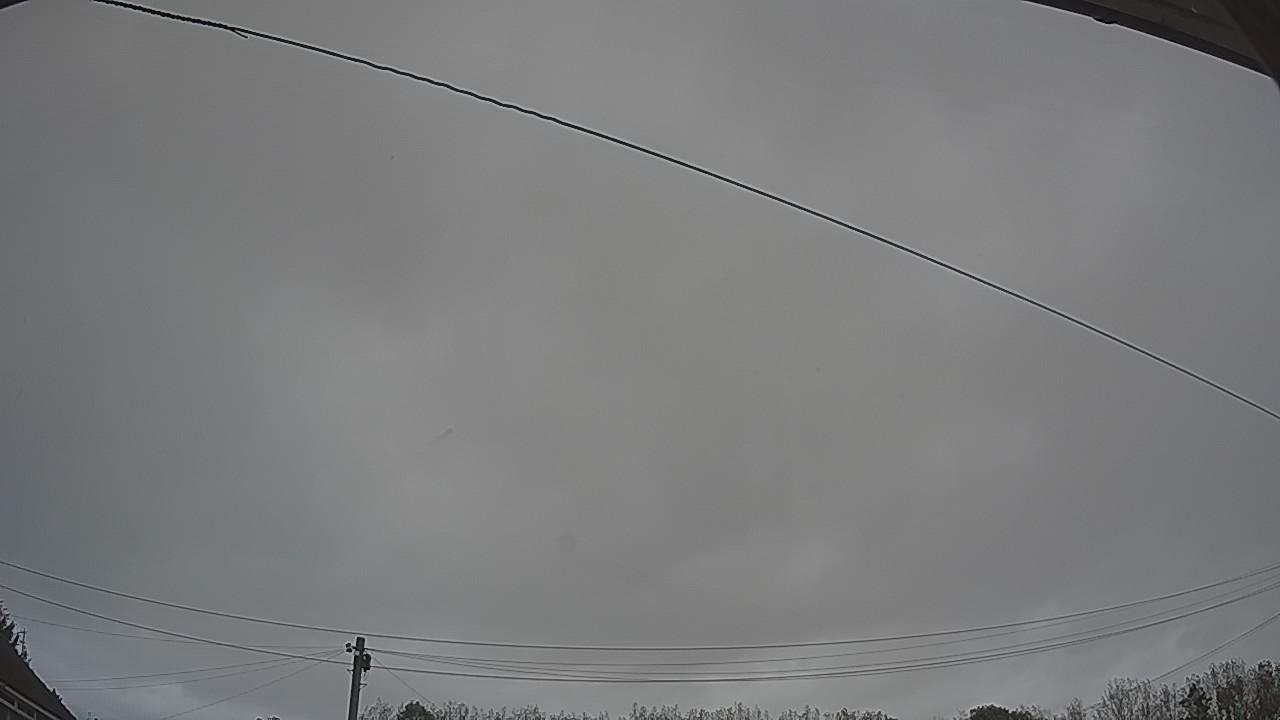 20261002_124824_cam2.jpg