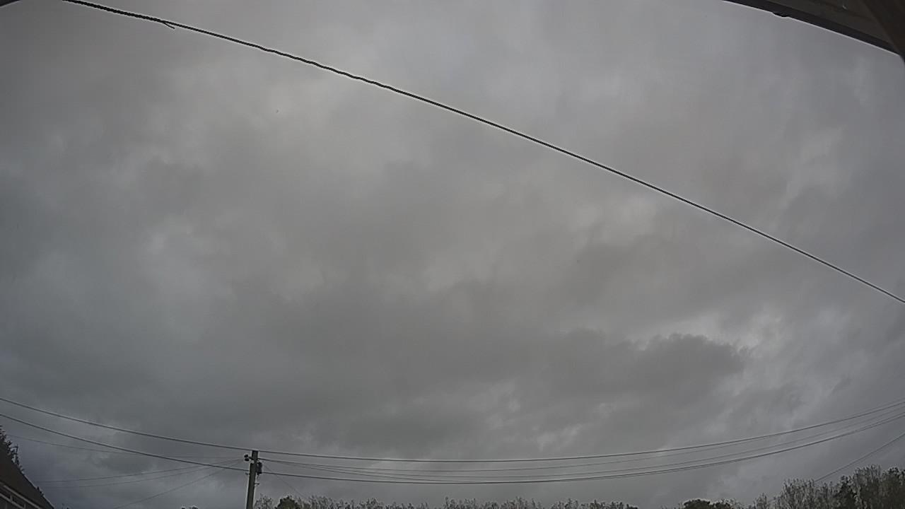 20261002_130406_cam2.jpg