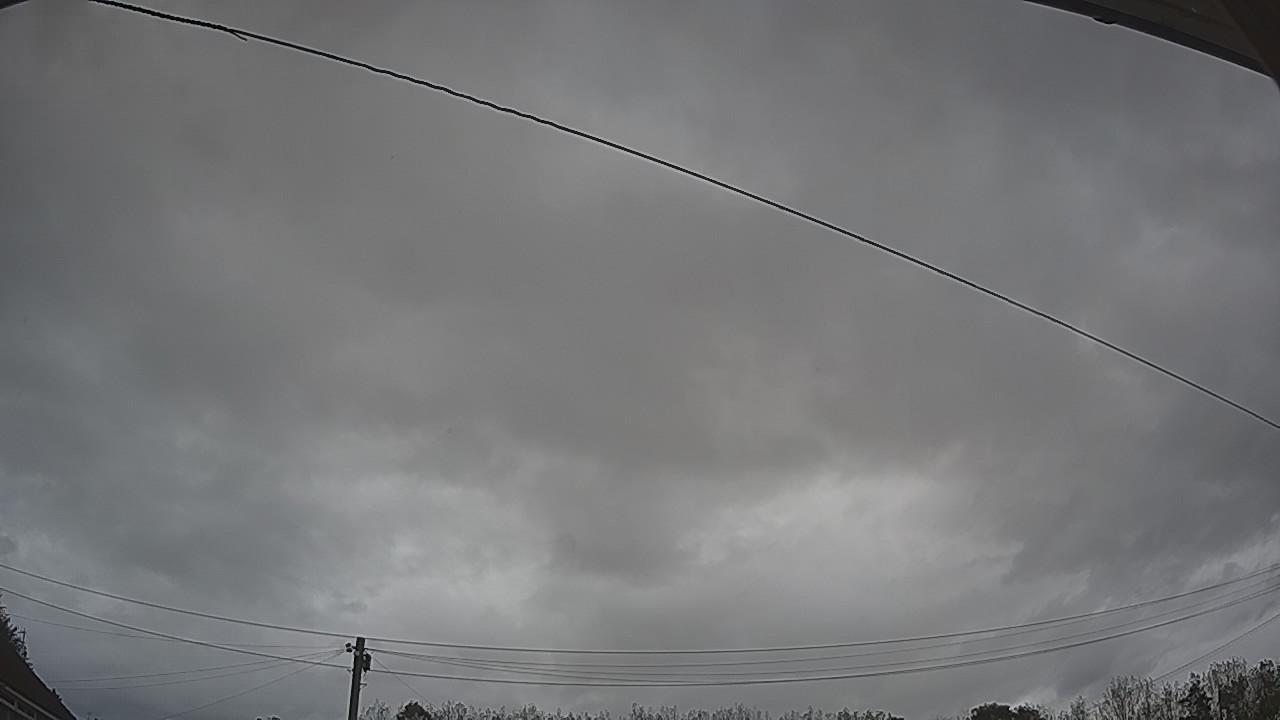 20261002_130806_cam2.jpg