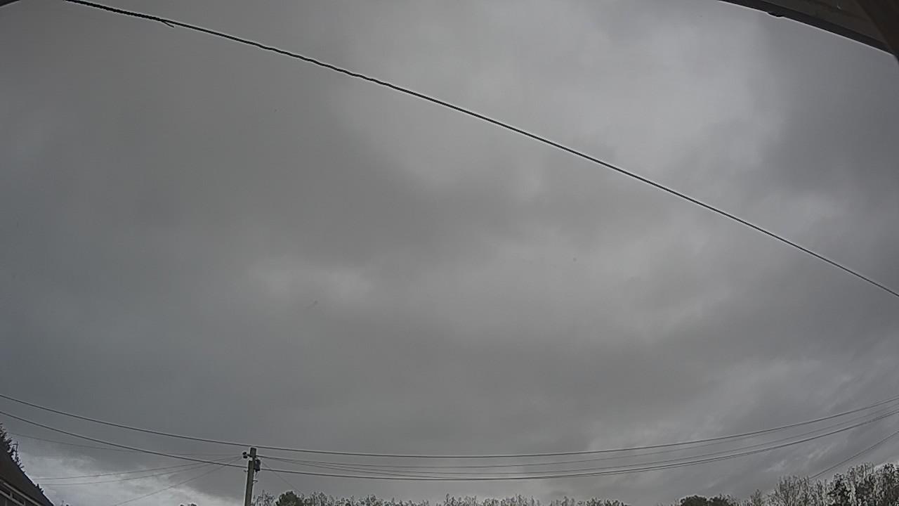20261002_131207_cam2.jpg