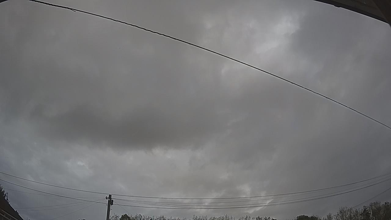 20261002_133211_cam2.jpg