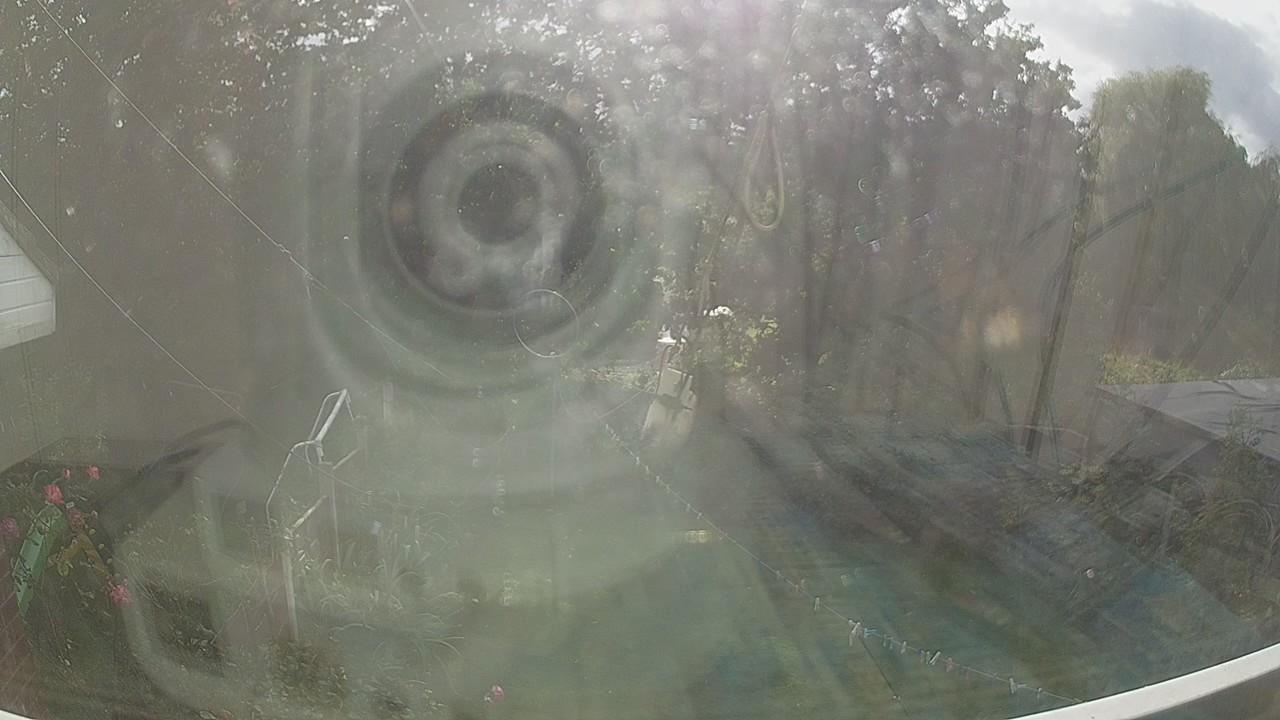 20261002_142810_cam1.jpg