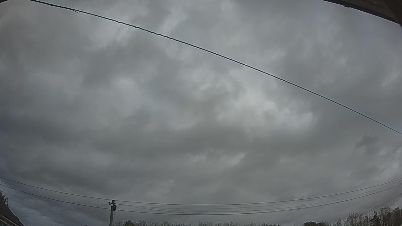 20261002_171951_cam2.jpg