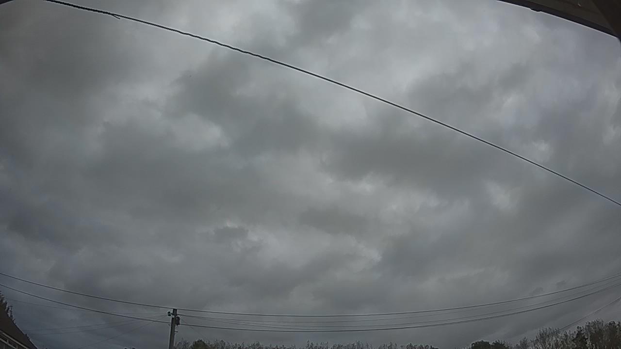 20261002_172400_cam2.jpg