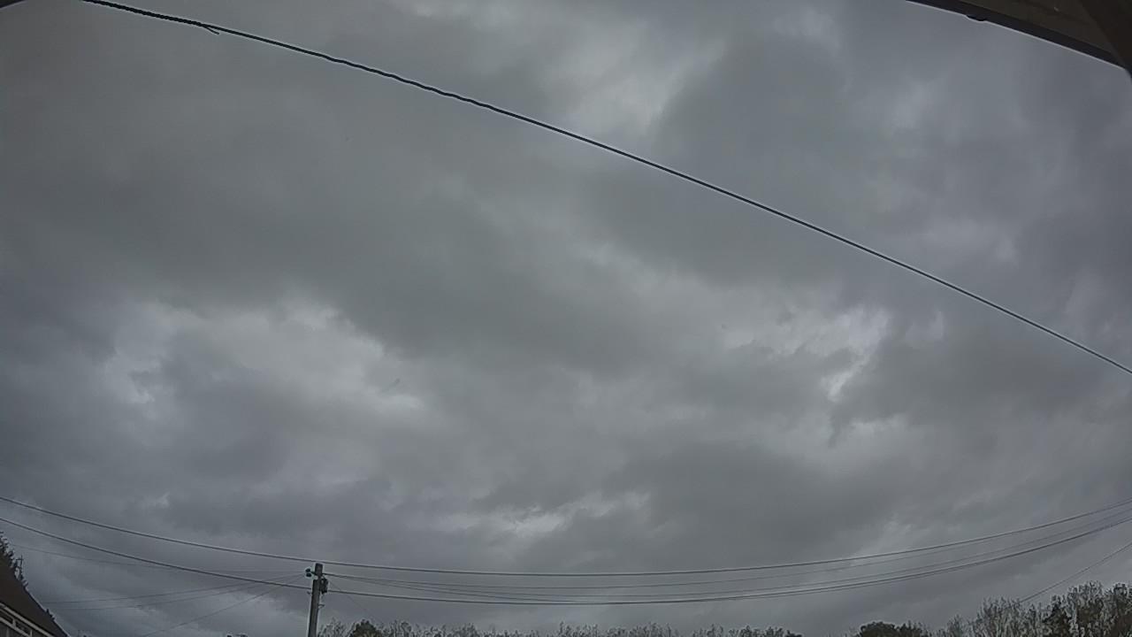 20261002_173227_cam2.jpg