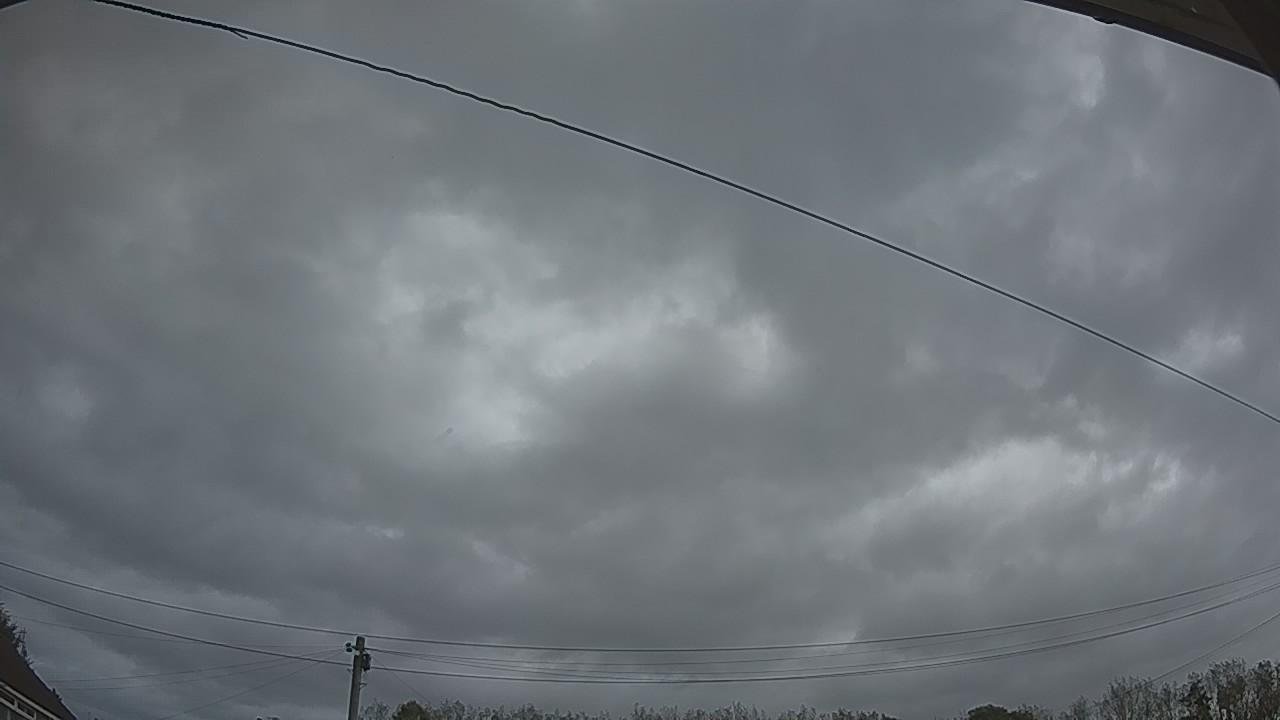 20261002_173644_cam2.jpg