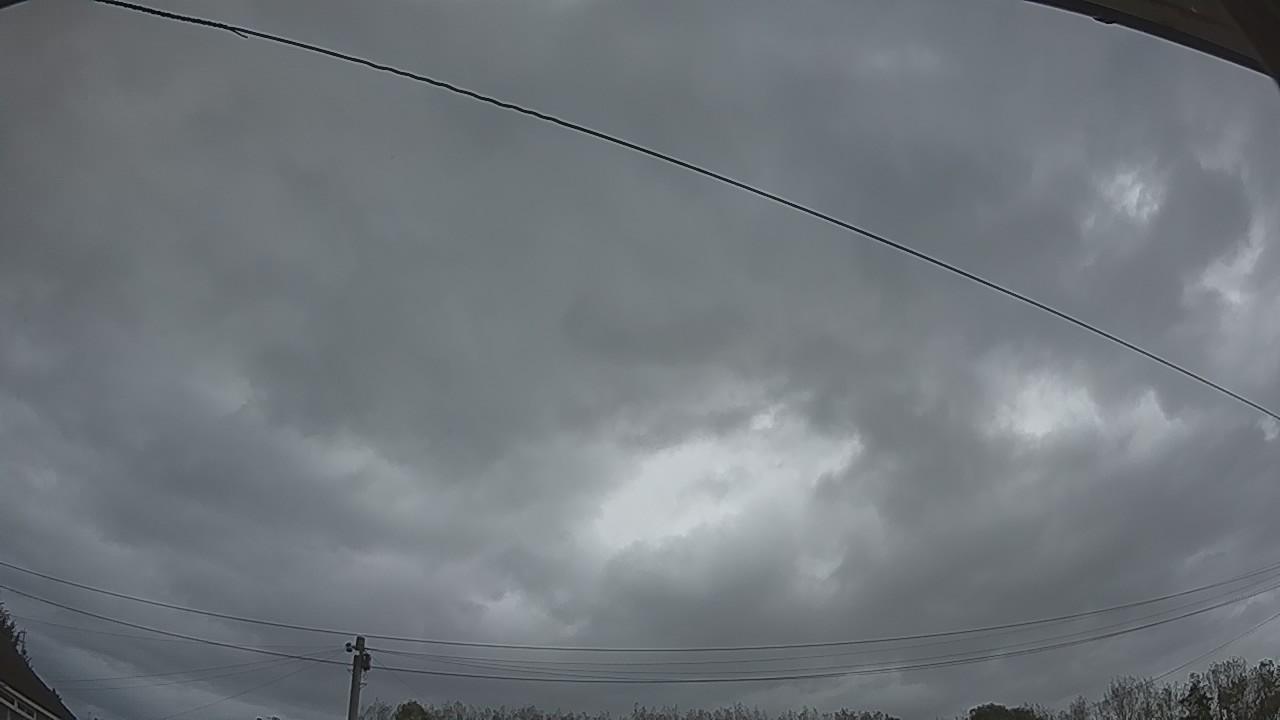 20261002_174101_cam2.jpg