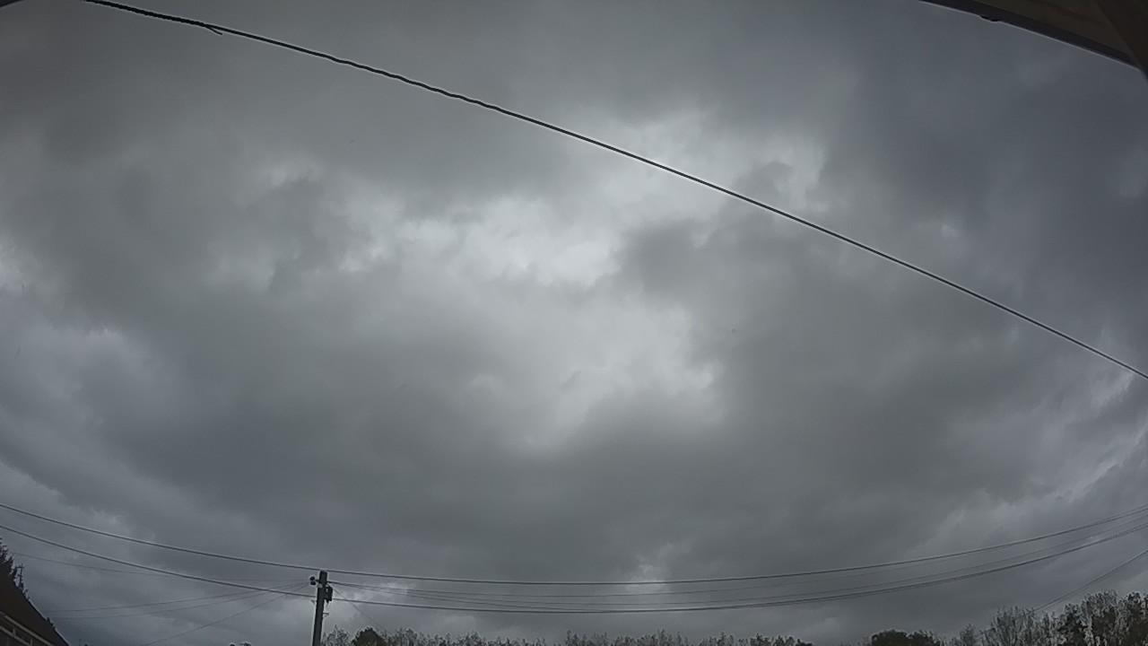 20261002_174519_cam2.jpg