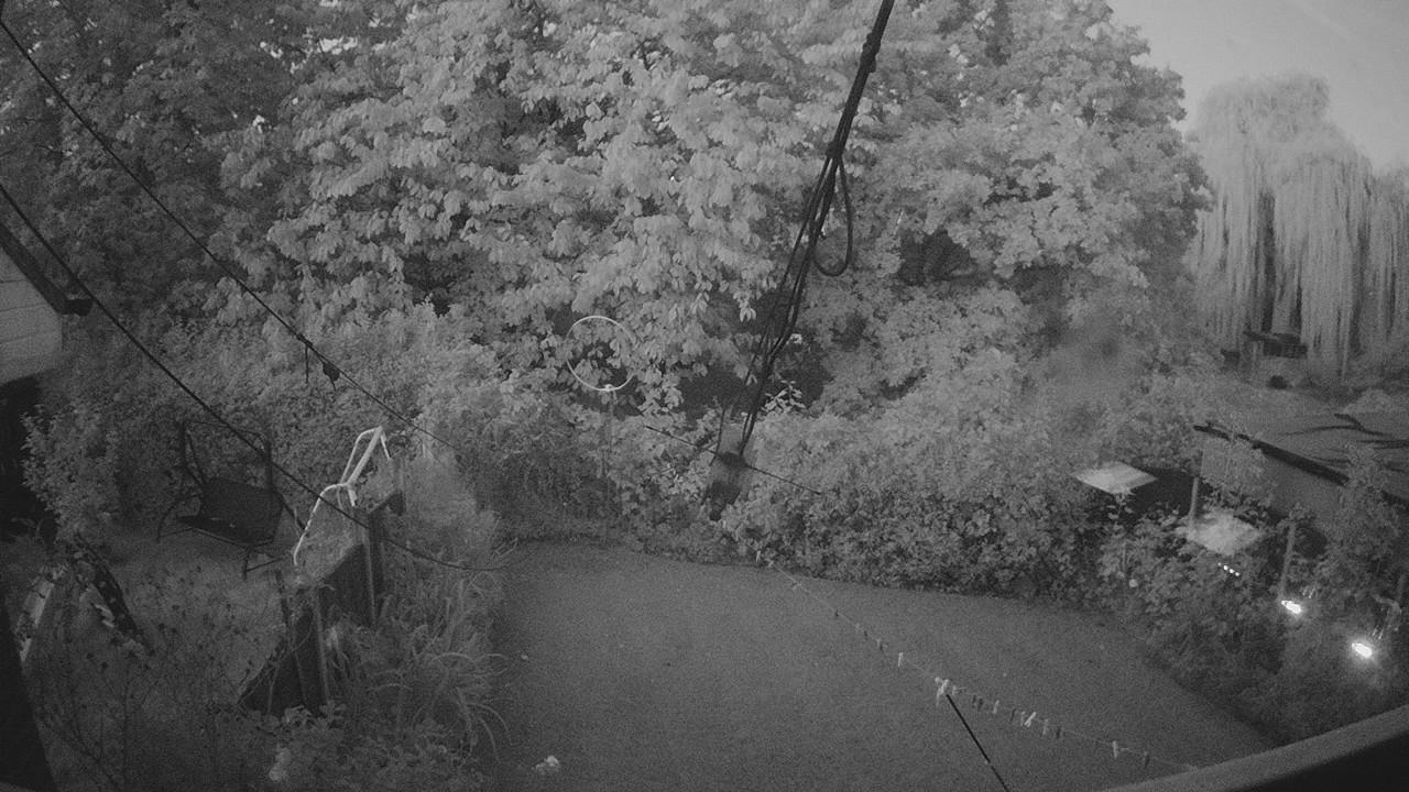 20261003_054137_cam1.jpg