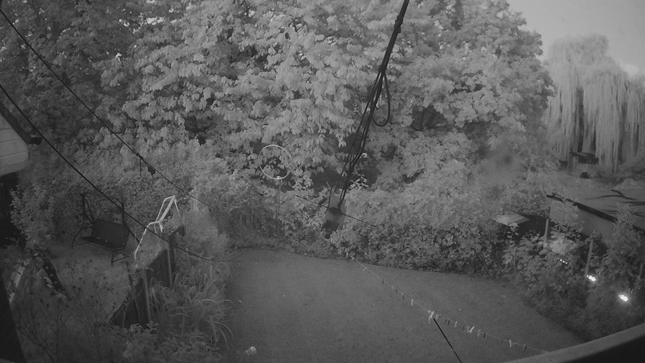 20261003_054613_cam1.jpg