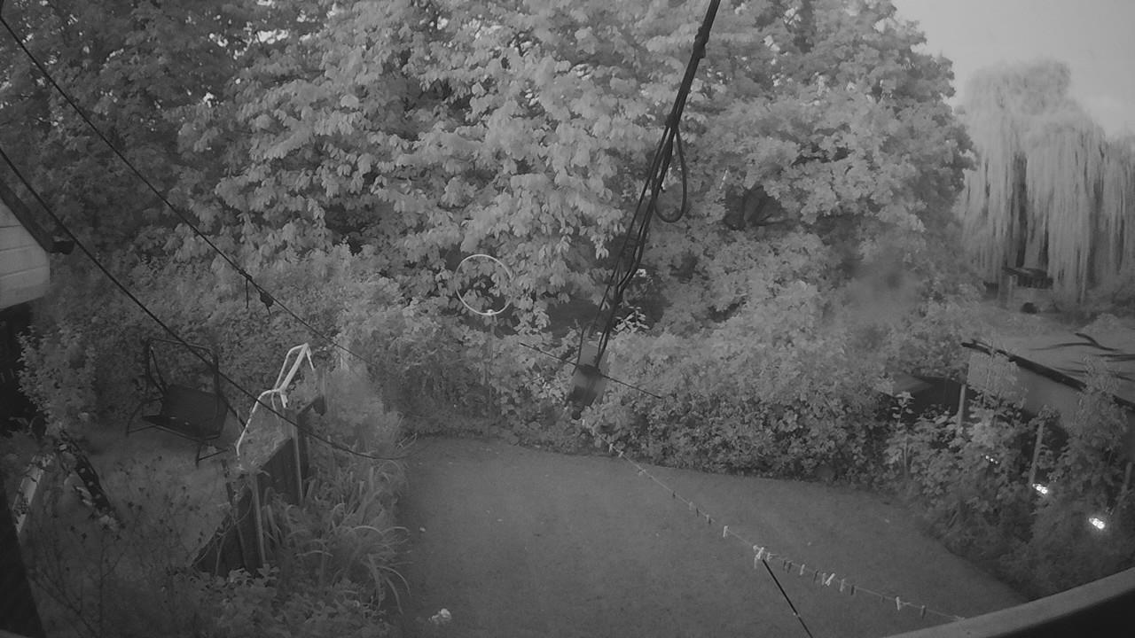 20261003_055049_cam1.jpg