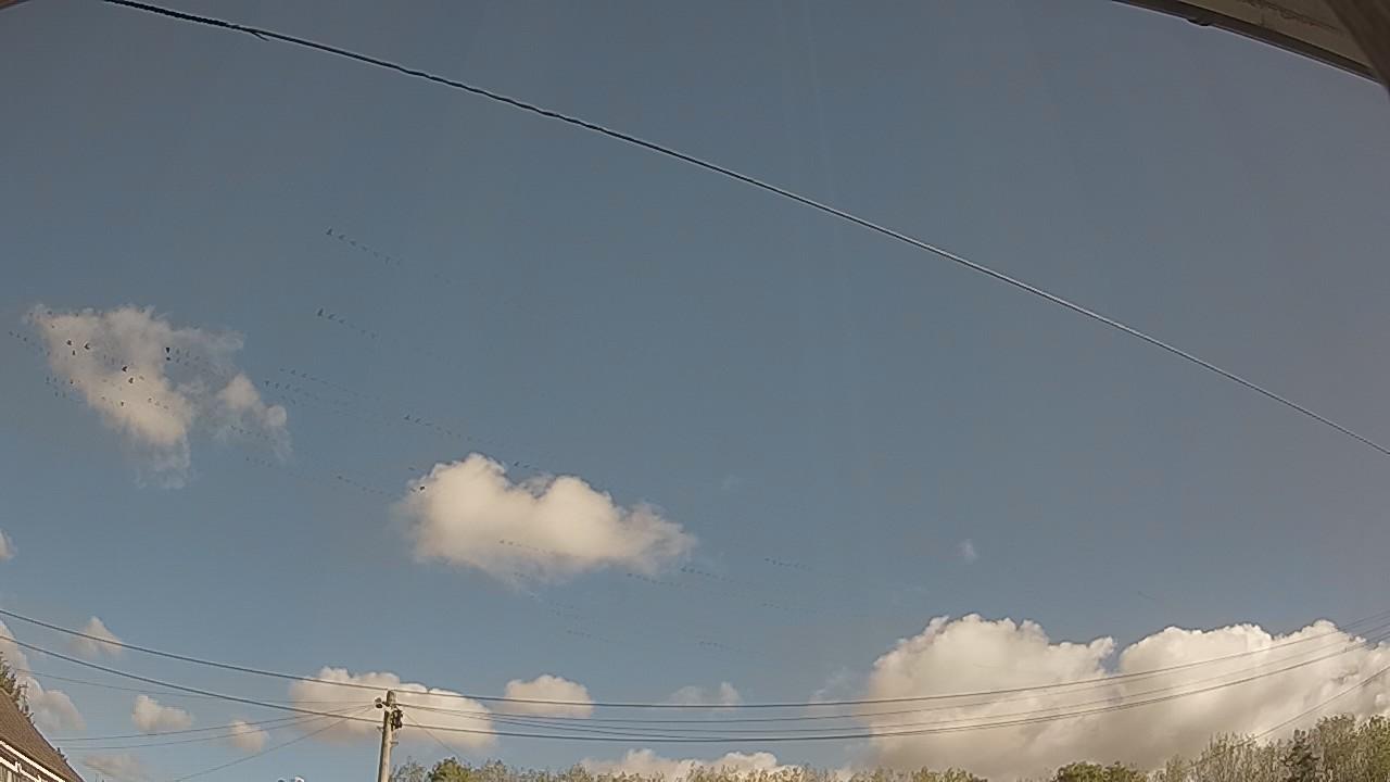 20261003_093804_cam2.jpg