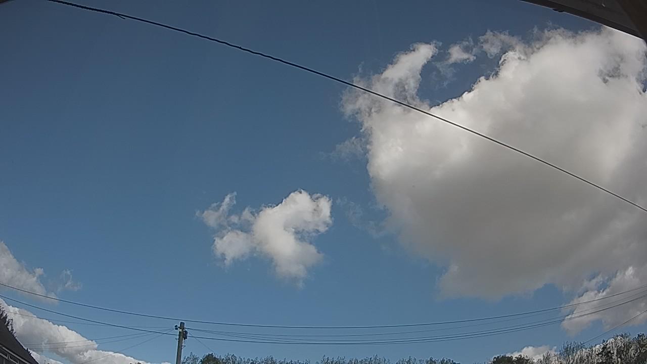 20261003_115222_cam2.jpg