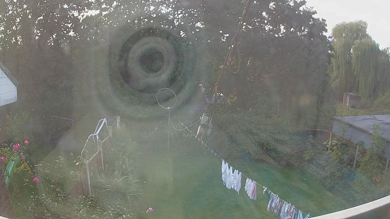 20261003_115620_cam1.jpg