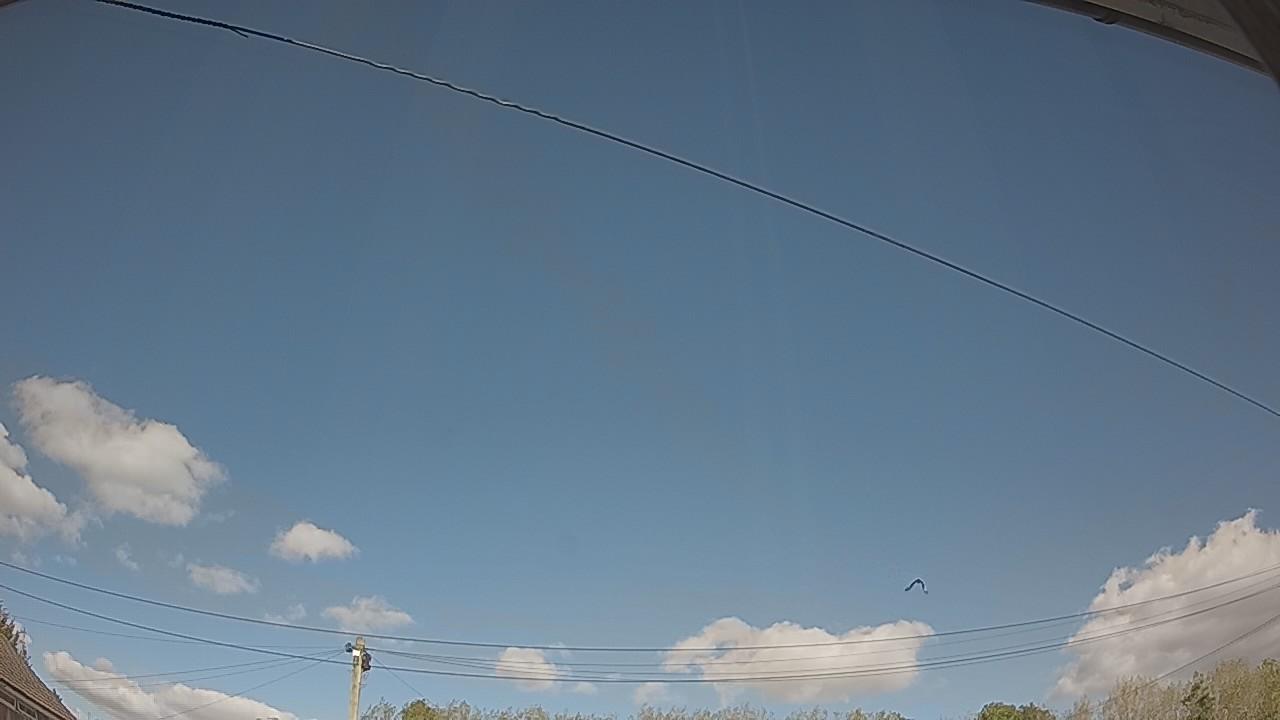 20261003_125134_cam2.jpg