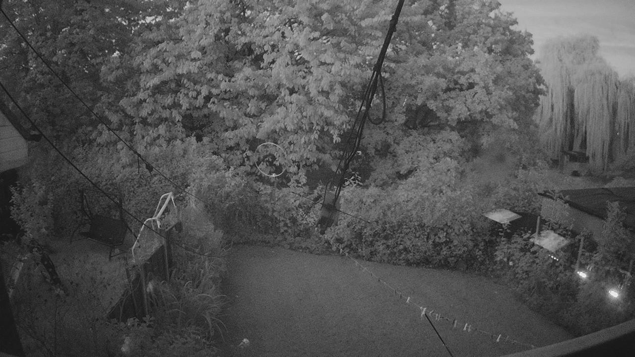 20261004_054224_cam1.jpg