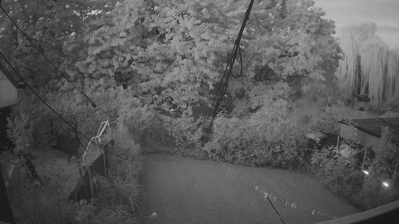 20261004_054709_cam1.jpg