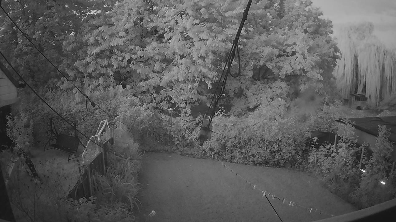 20261004_055153_cam1.jpg