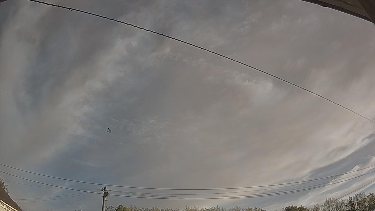 20261004_074835_cam2.jpg
