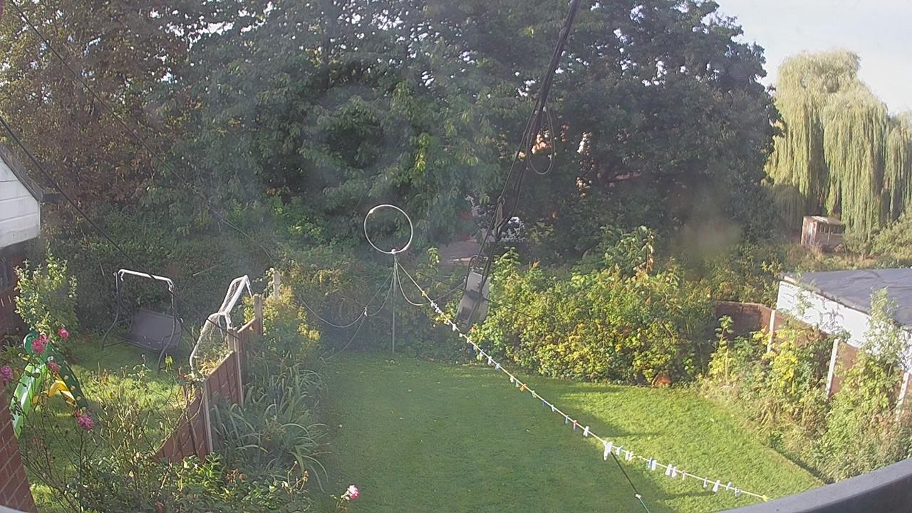 20261004_081216_cam1.jpg