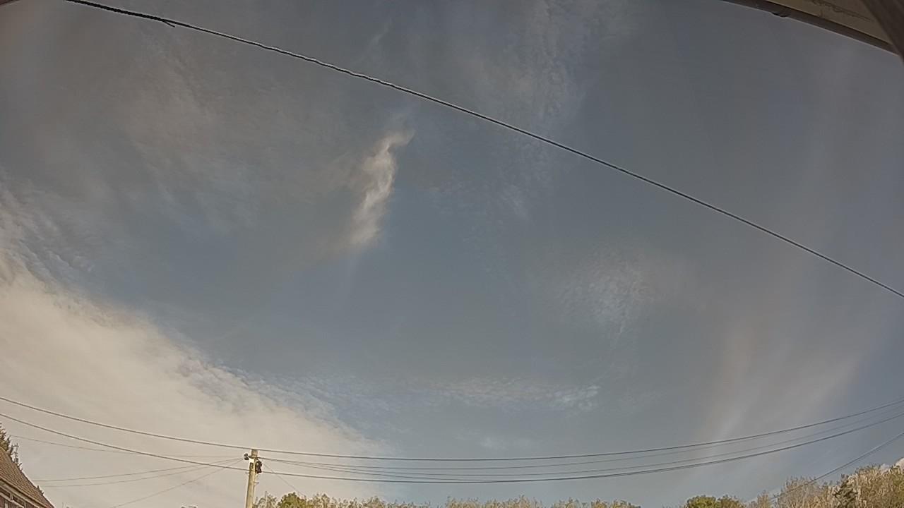 20261004_114442_cam2.jpg