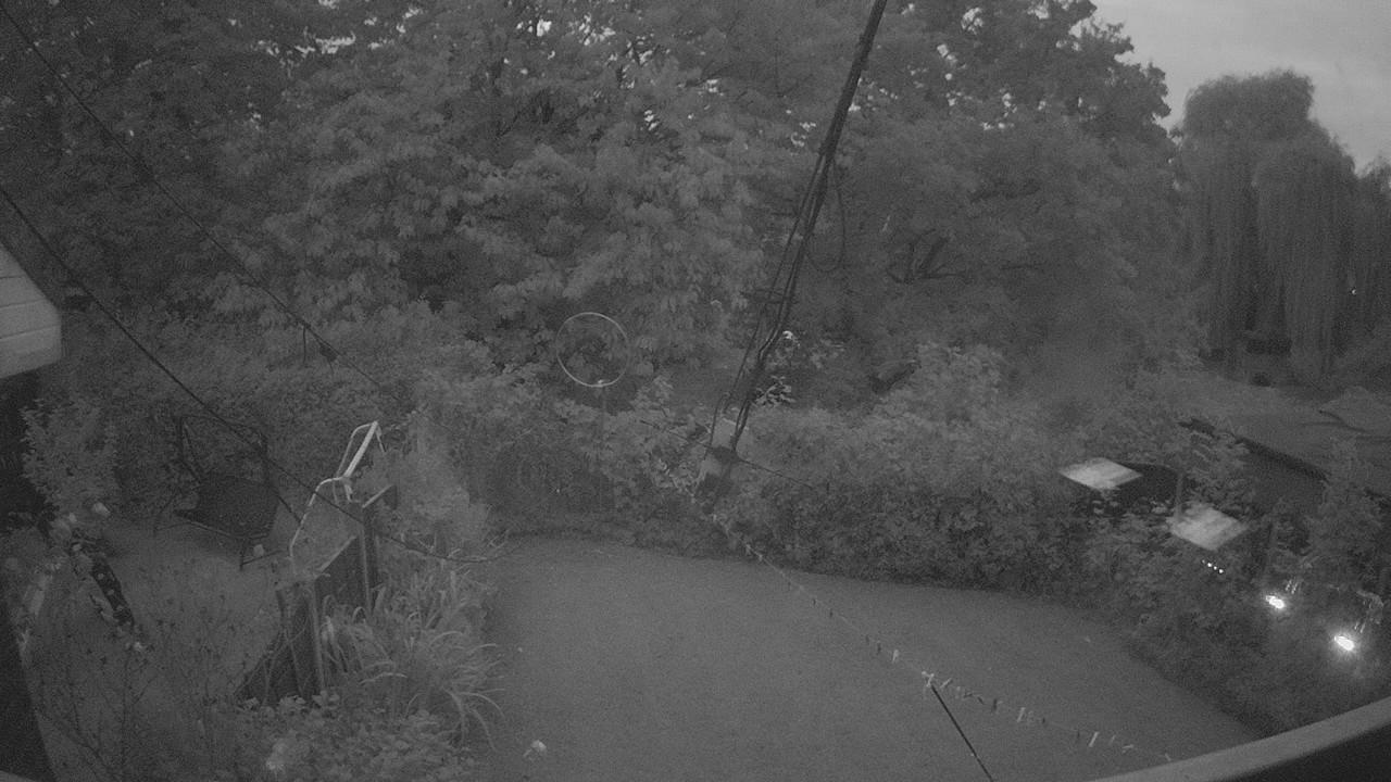 20261005_054722_cam1.jpg