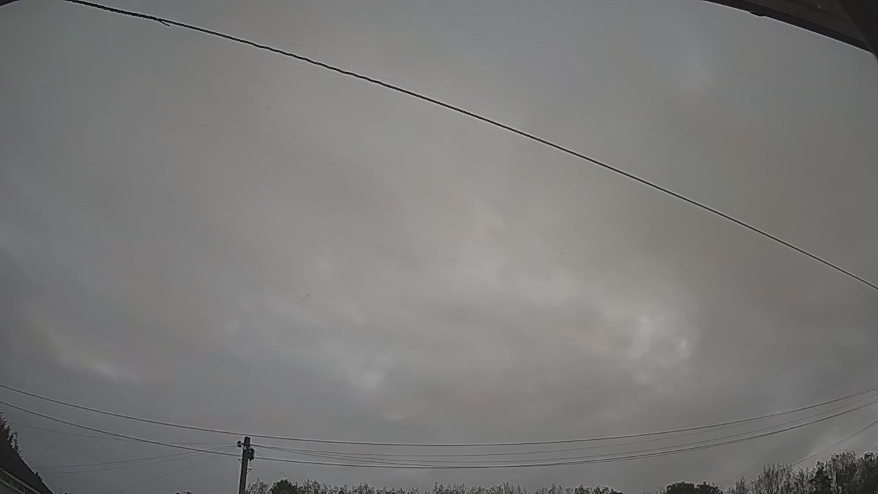 20261005_060854_cam2.jpg