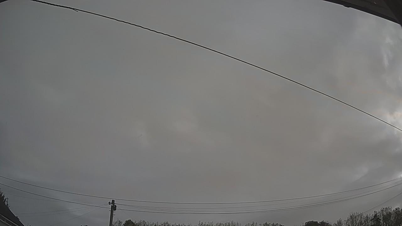 20261005_061311_cam2.jpg