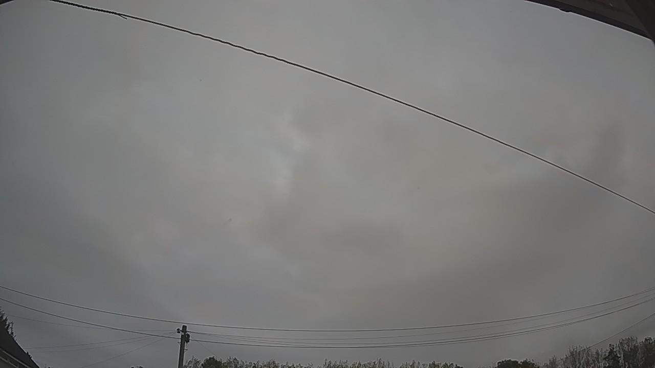 20261005_061729_cam2.jpg