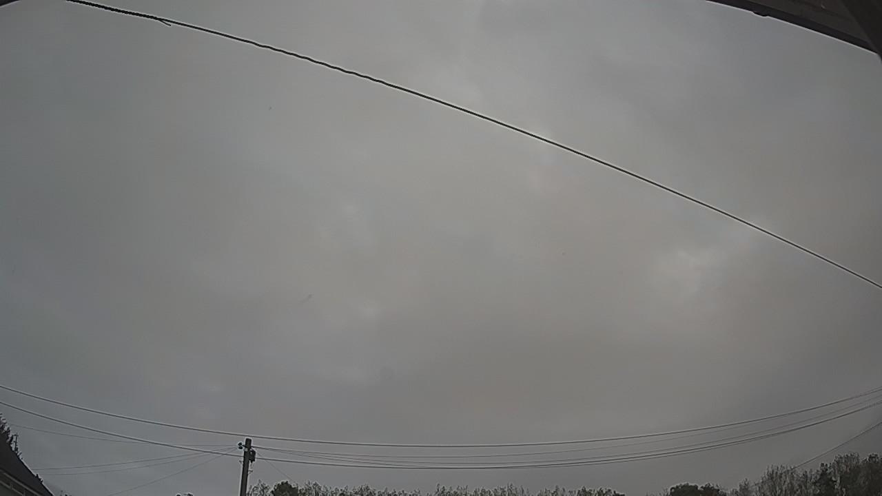 20261005_062147_cam2.jpg