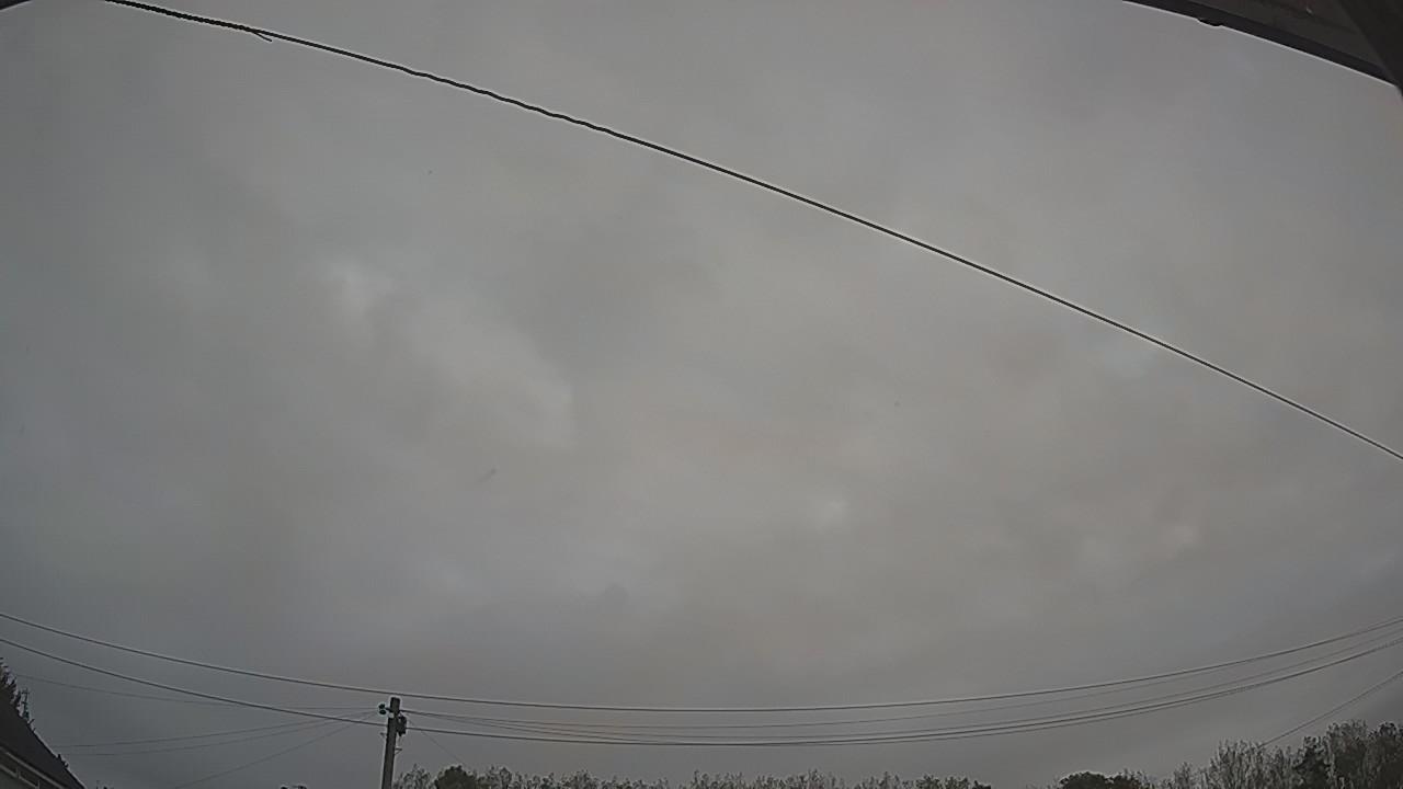 20261005_063023_cam2.jpg