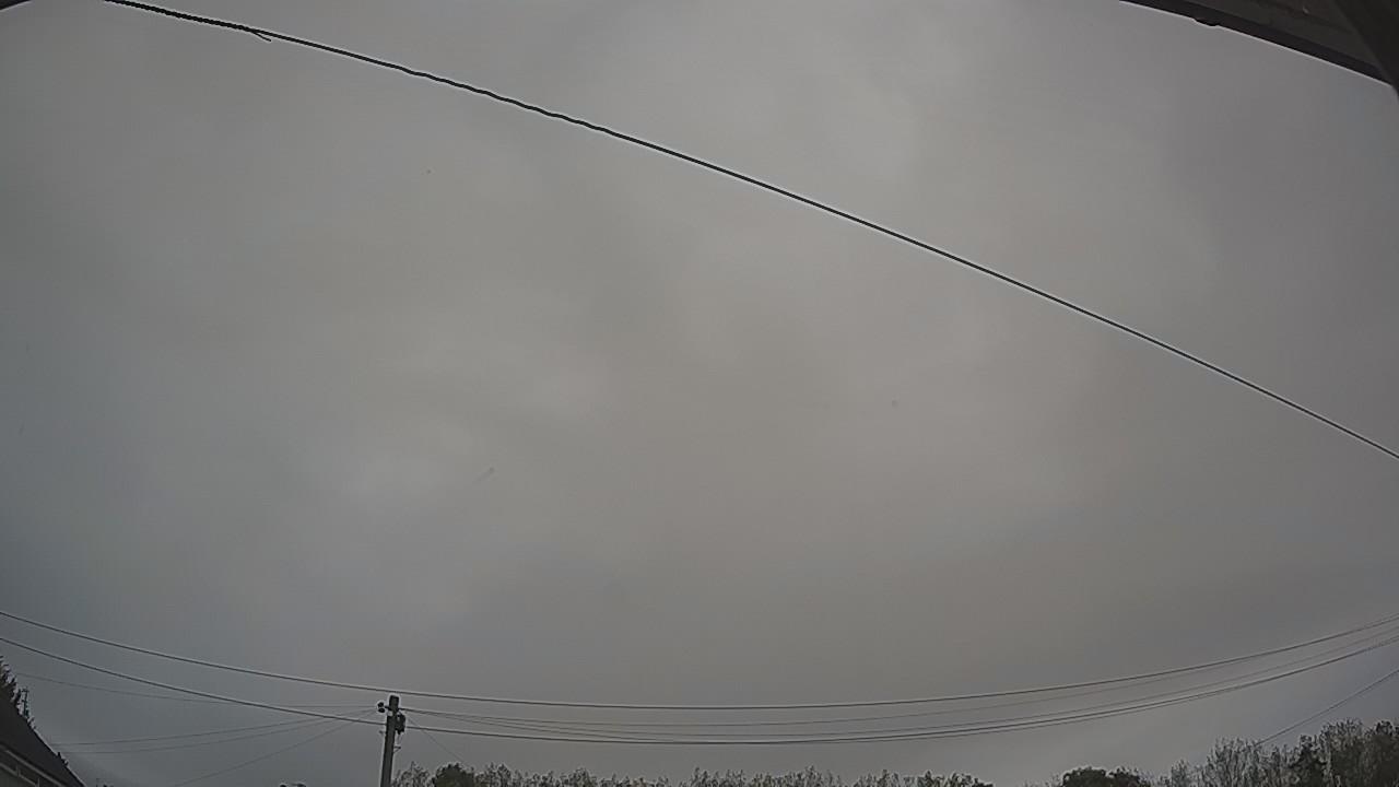 20261005_064733_cam2.jpg