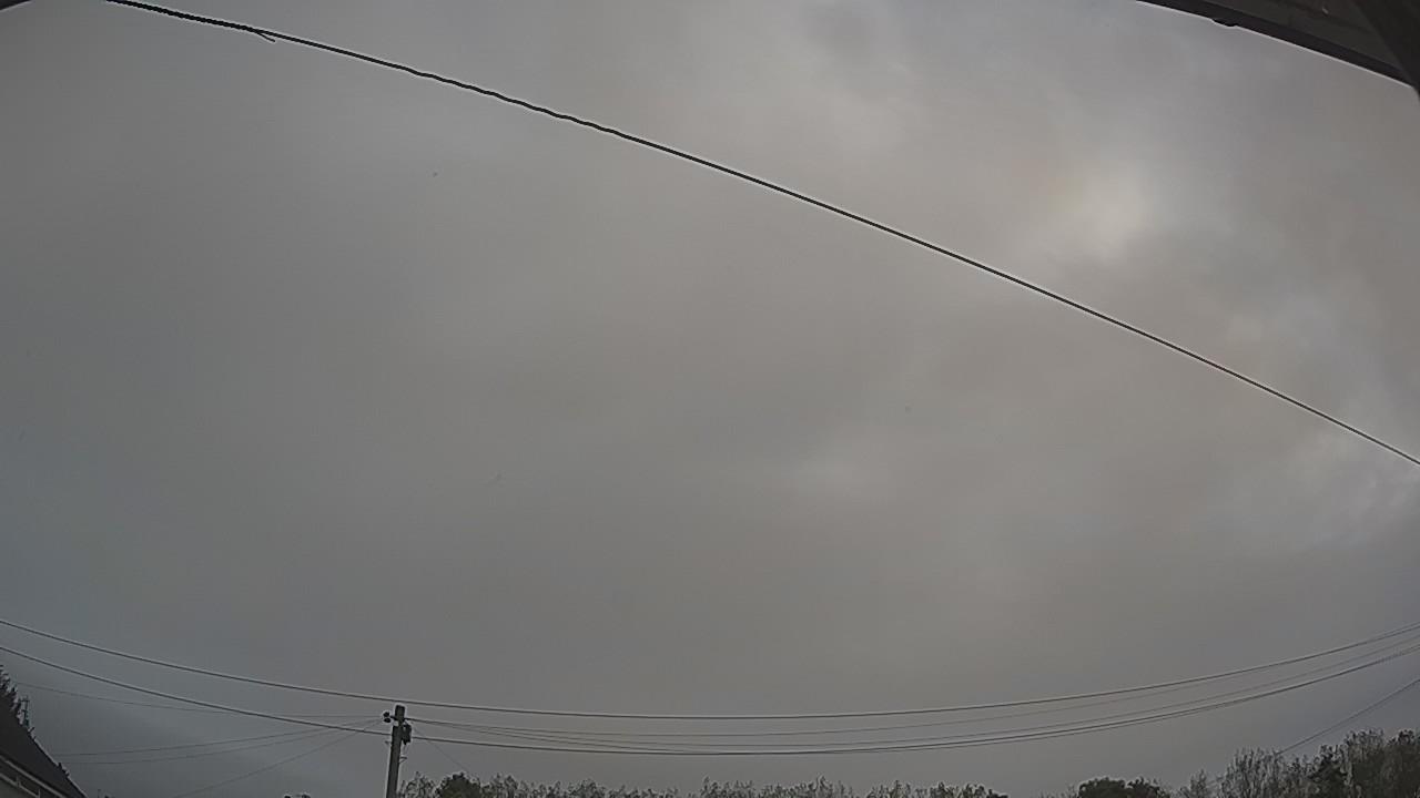 20261005_065608_cam2.jpg