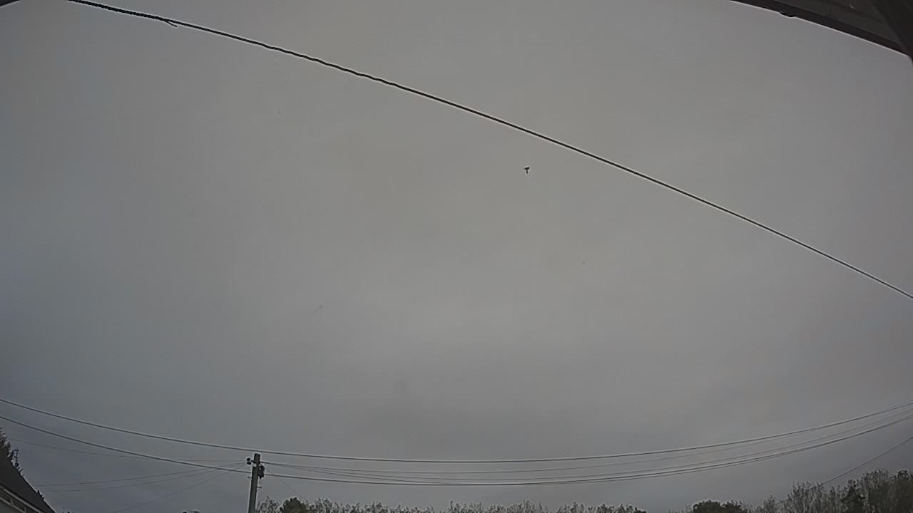 20261005_074245_cam2.jpg