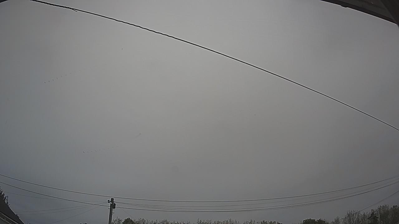 20261005_074654_cam2.jpg