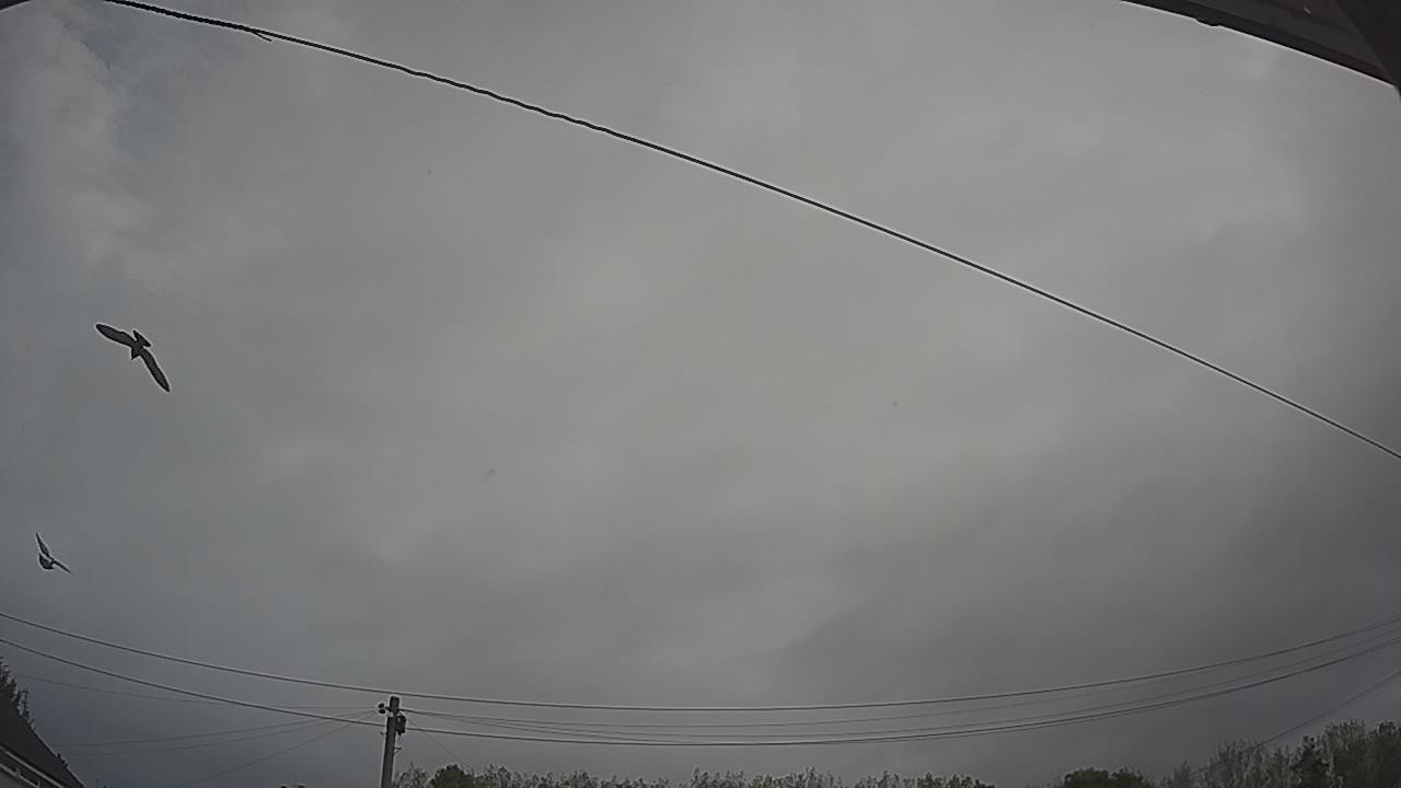 20261005_080646_cam2.jpg