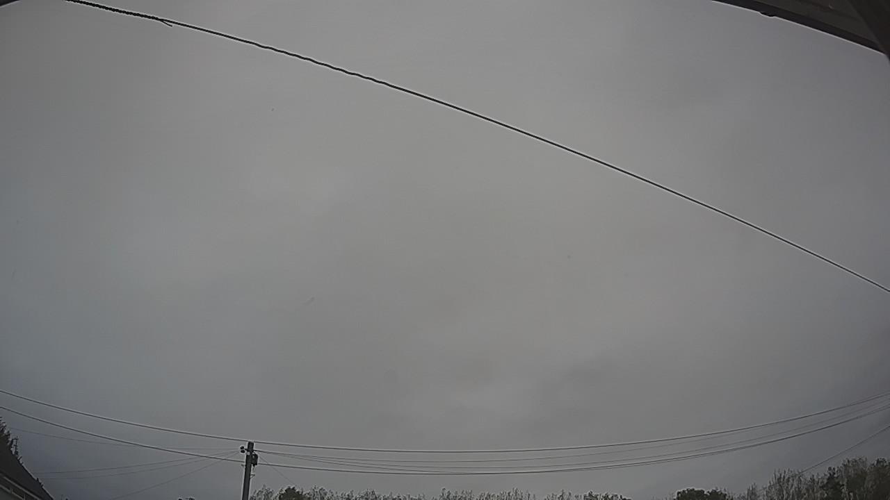 20261005_085400_cam2.jpg