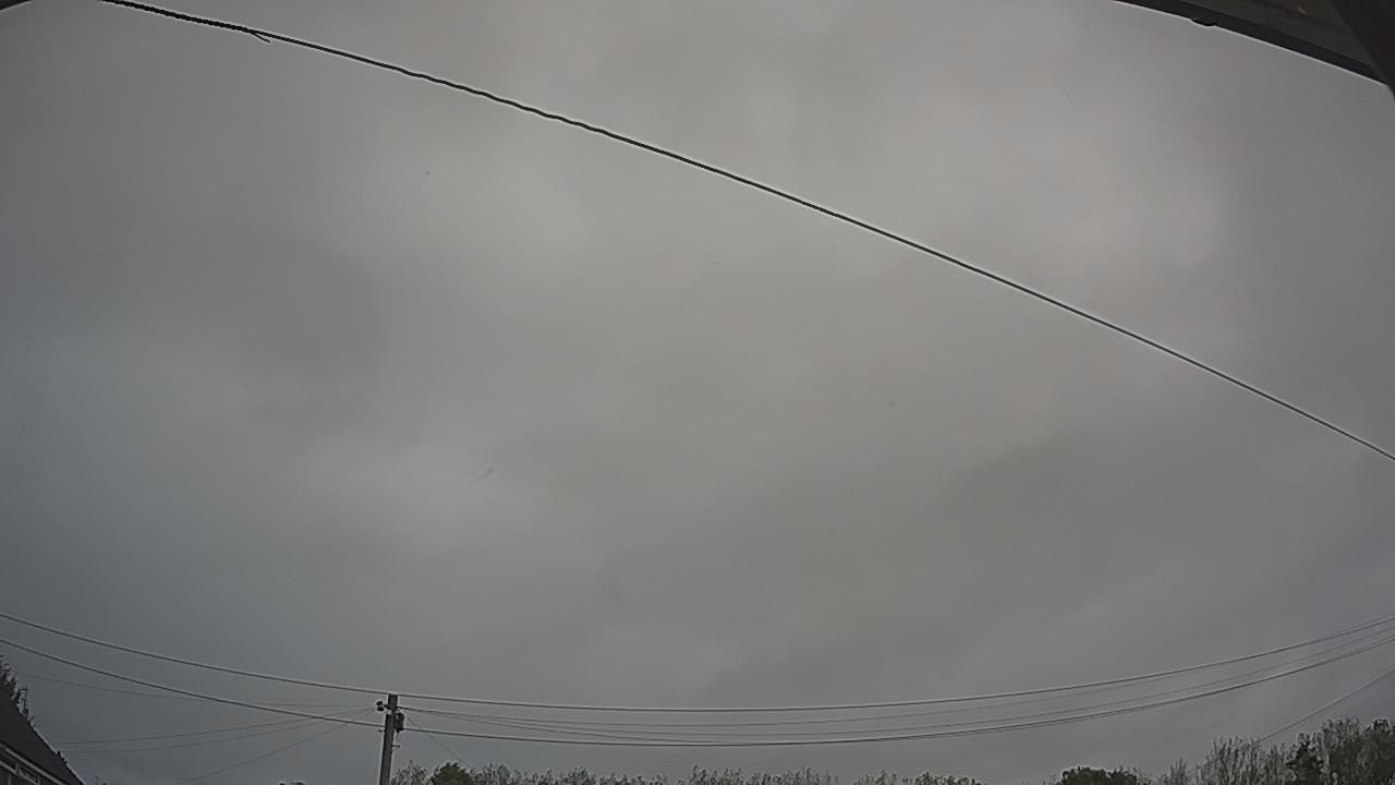 20261005_102159_cam2.jpg