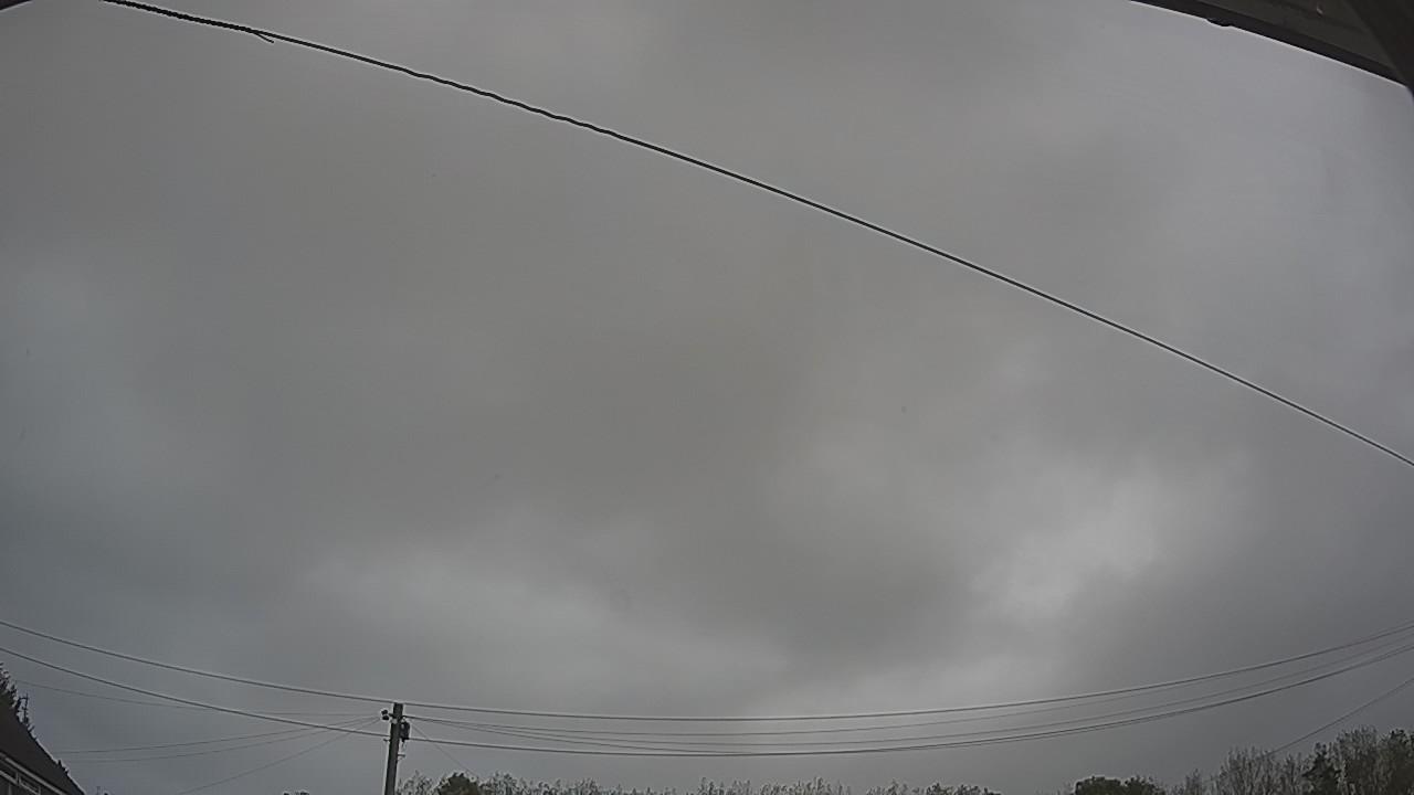 20261005_103332_cam2.jpg