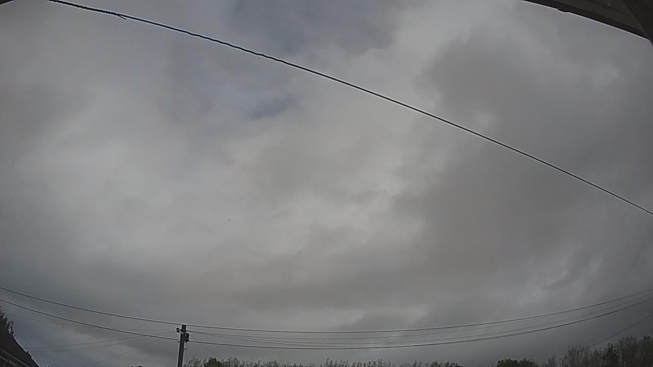 20261005_105247_cam2.jpg