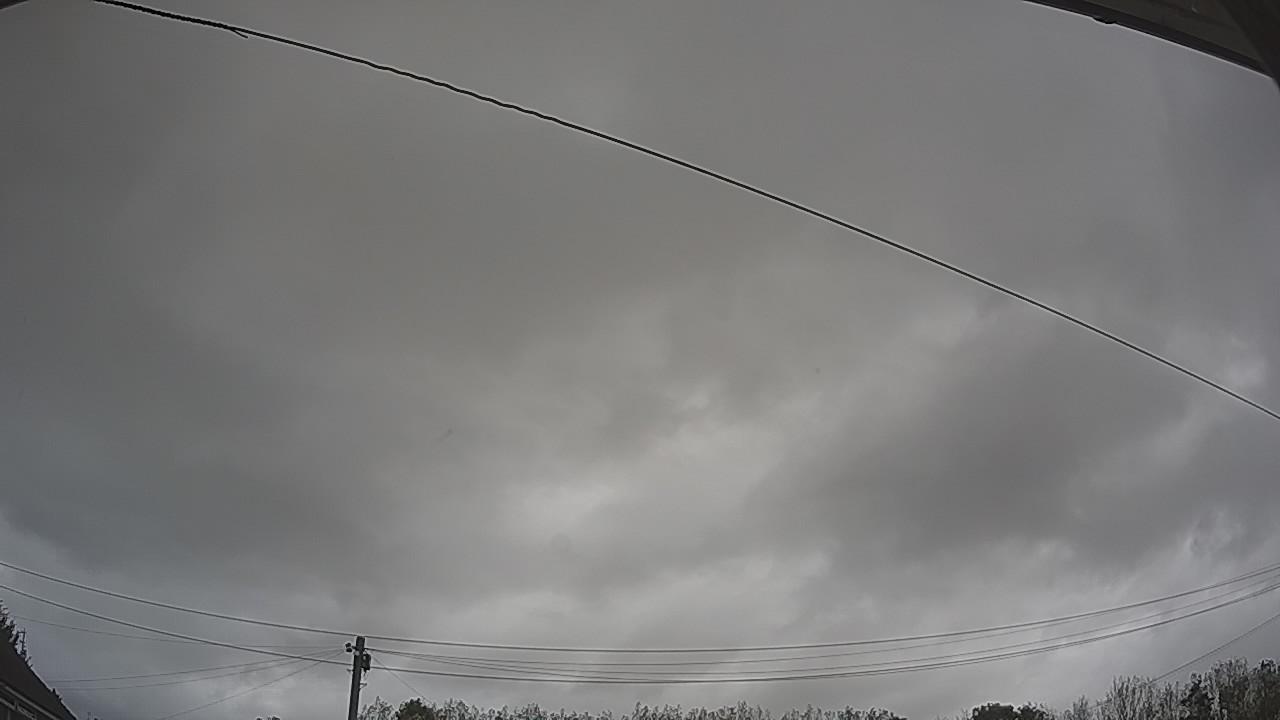 20261005_110420_cam2.jpg