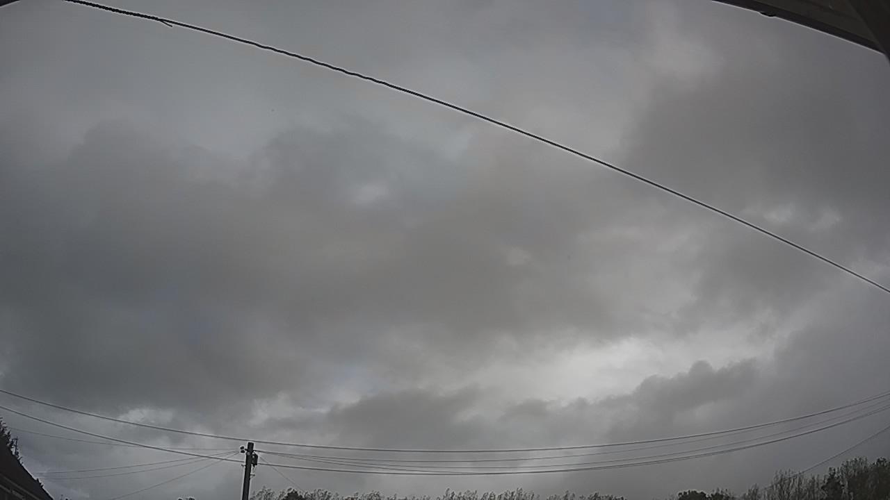 20261005_111552_cam2.jpg