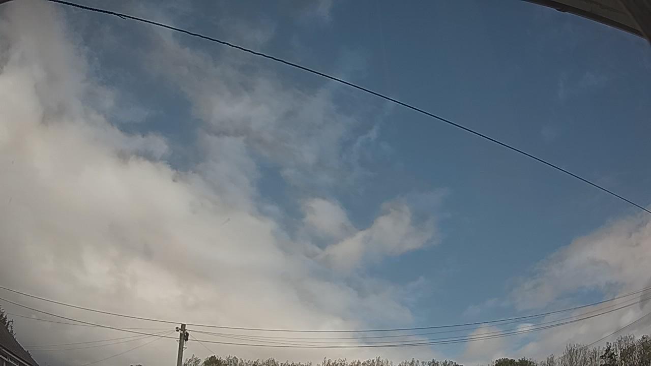 20261005_113524_cam2.jpg