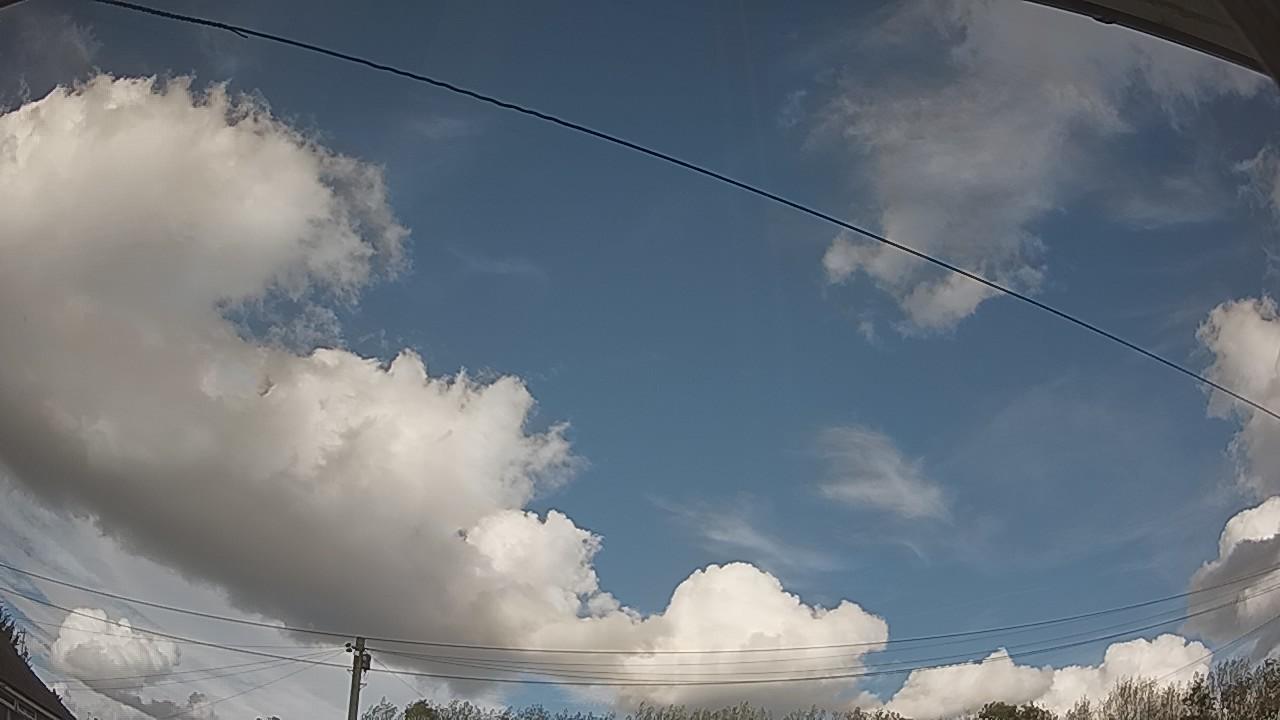 20261005_140022_cam2.jpg