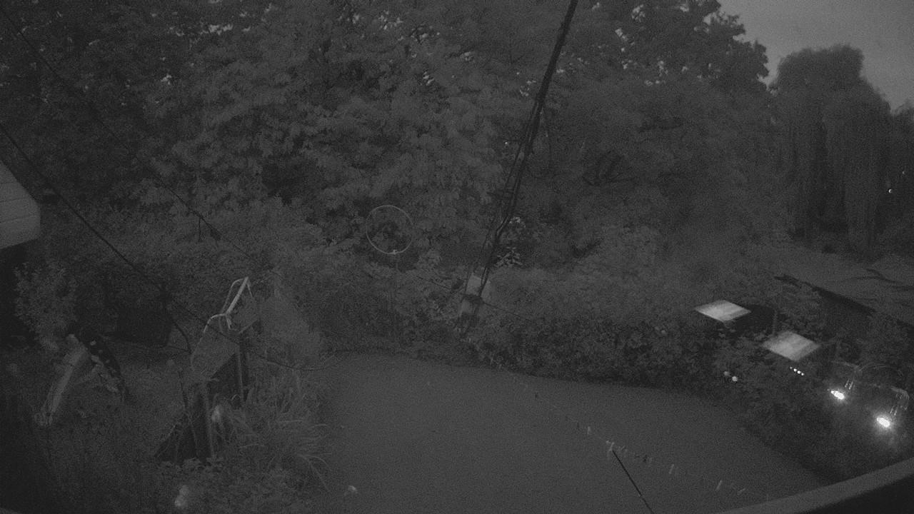 20261006_054624_cam1.jpg