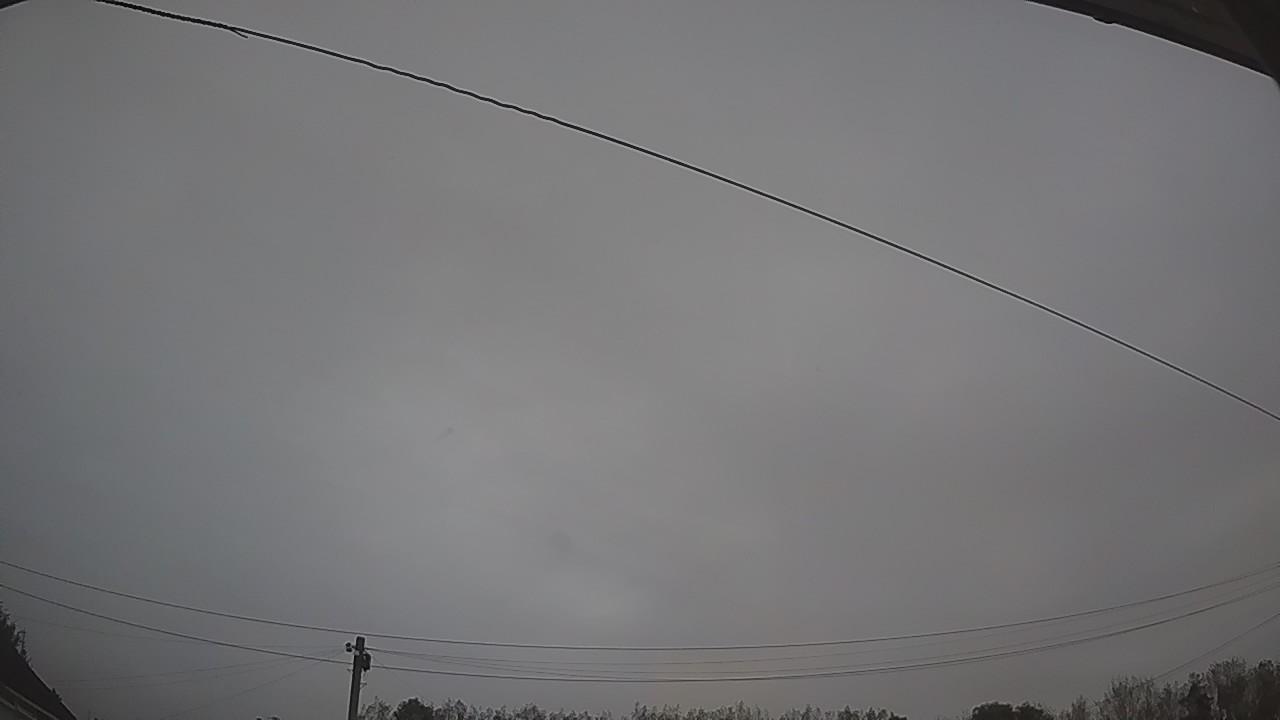 20261006_055954_cam2.jpg