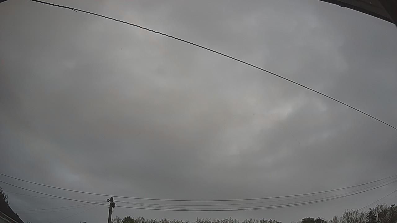 20261006_063219_cam2.jpg
