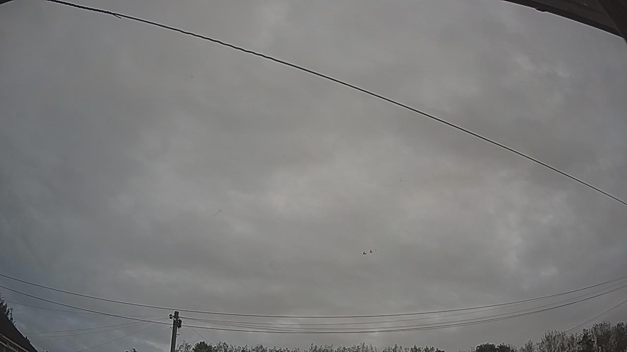 20261006_074639_cam2.jpg