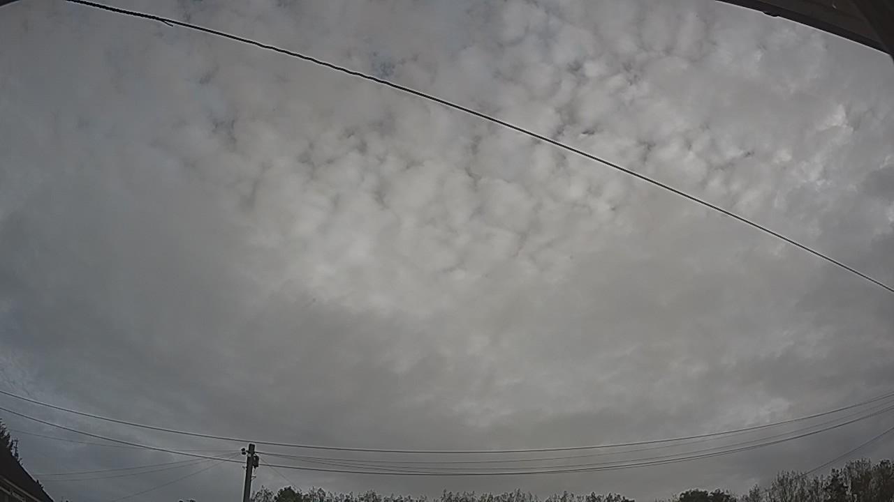 20261006_080048_cam2.jpg