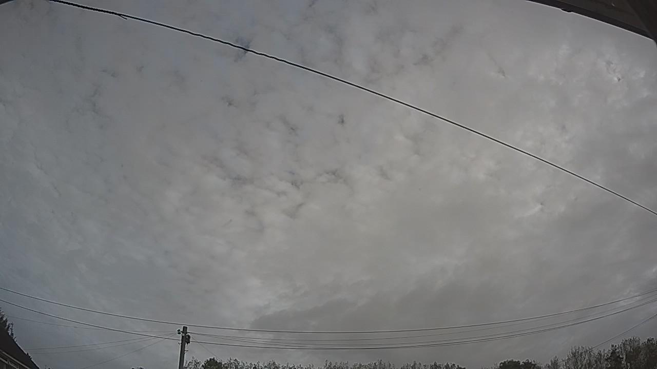 20261006_080523_cam2.jpg